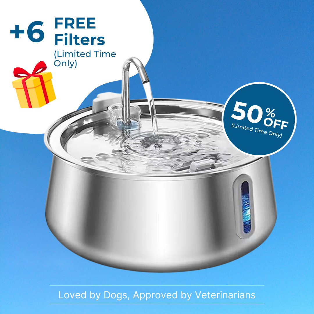 Freshy™ - Antibacterial Dog Fountain