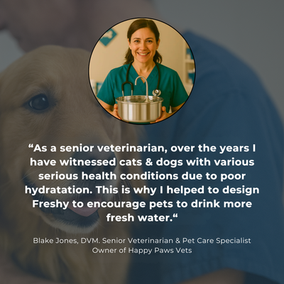 Freshy™ - Antibacterial Dog Fountain